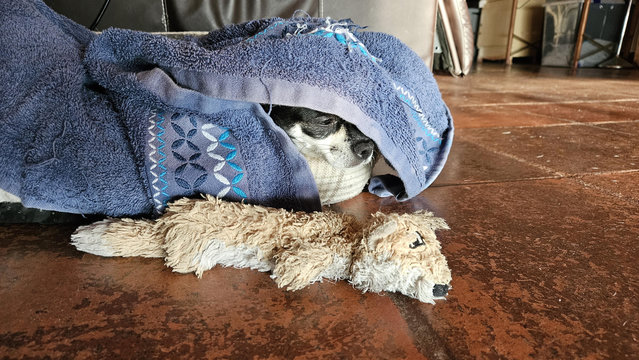 Sweet Dreams.