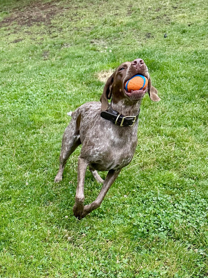As she runs she lifts her head up to show off the ball.