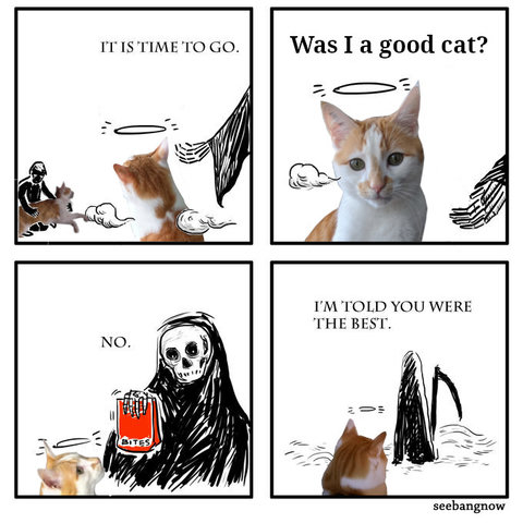Four panel comic.

First panel a person i solding a orange and white cat in grief. The cat is seen from it's back in the front with a skeletton hand rqaching out sazing "It's time to go"

Scond panel is the cat looking direct a the reader asking "Was I a good cat?"

Thrid panel it is revealed that the skeletton hand is the Reaper holding up a back of treats, saying "No."

Fourth panel is both walking away from the reader and the Reaper says "I was told zou were the best."

RIP Bilbo