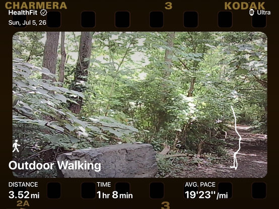 My partner got me a #KodakCharmera on their last work trip to Hong Kong. Took it out for a spin on our walk today.