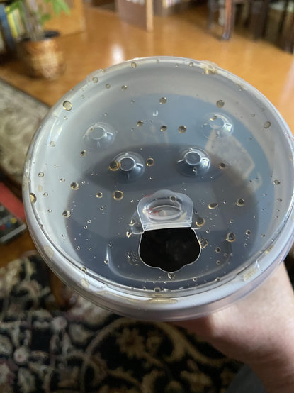 A beverage cup with a plastic top with an opening for a straw or for drinking from directly, that looks like an open mouth. Above, there are round bumps in the plastic that look like eyes and ears. 