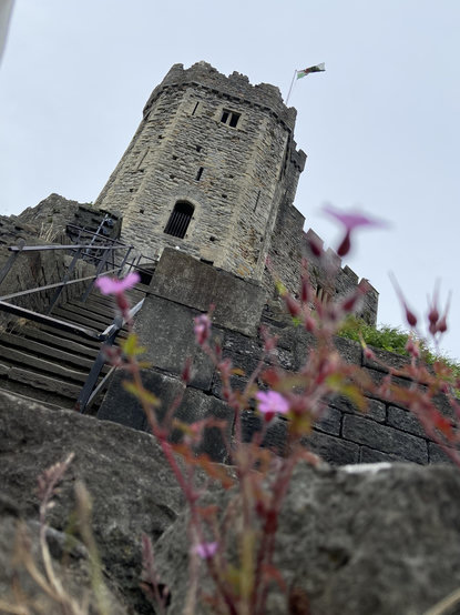 The Norman keep at Cardiff castle in Wales. We see it from below, with some flowers in the foreground. The door looks like a surprised mouth and two narrow windows at the top look like eyes. Overall it likes like a face extremely startled or shocked by what it's seeing. 