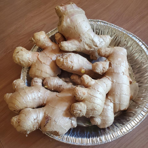A pile of fresh ginger root with light brown skin and visible knobs, resting on a fluted aluminum pie pan.