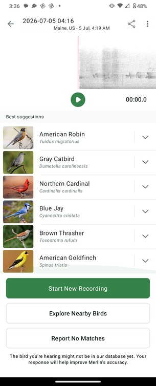 2026-07-05 04:16 
Maine, US - 5 Jul, 4:19 AM :


Best suggestions
American Robin 
Turdus migratorius

Gray Catbird 
Dumetella carolinensis

Northern Cardinal «
Cardinalis cardinalis

Blue Jay
Cyanocitta cristata

Brown Thrasher
Toxostoma rufum

American Goldfinch 
Spinus tristis

Start New Recording
Explore Nearby Birds
Report No Matches
The bird you're hearing might not be in our database yet. Your
response will help improve Merlin's accuracy.
