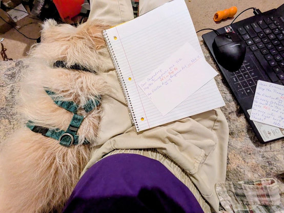 Donny and I are snuggled on the sofa.  I have a tablet serving as a lap table on which I'm writing a postcard.  My laptop is beside me.  An orange  dog food toy is on the floor.