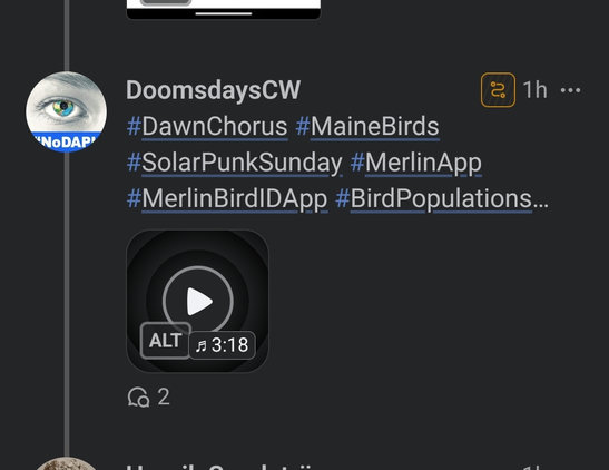 screenshot of a post with audio attachment with a little player in phanpy web client