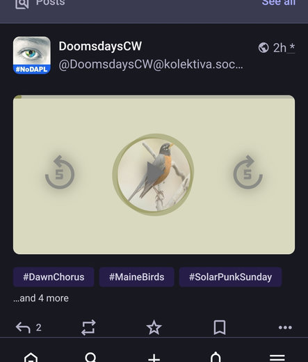 screenshot of a player in mastodon webUI