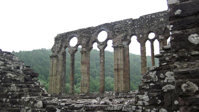 The image depicts the ruins of an ancient stone structure, likely part of a historic abbey or church. The focal point is a row of tall, arched windows that are missing their glass and some of their stonework, leaving only the arched frames standing. The arches are constructed from weathered stone, showing signs of age and erosion.
Through the empty arches, a lush, green forest is visible, providing a stark contrast between the decaying man-made structure and the vibrant natural landscape beyond. The ground within the ruins is strewn with rubble and broken stones, further emphasizing the passage of time and the state of disrepair. The overall scene evokes a sense of history, mystery, and the enduring beauty of ancient architecture amidst nature.
