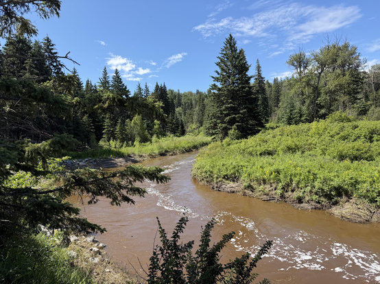 This looks like pure wilderness with a rushing creek (far higher than it normally is) surrounded by mostly evergreens and brush. No sign of the city that surrounds it.