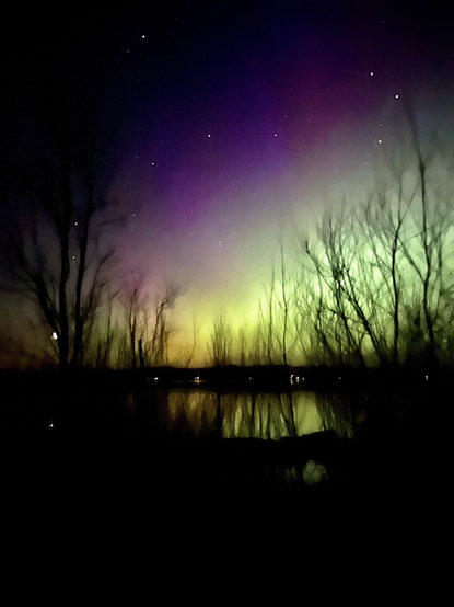 A night sky illuminated by the aurora borealis displays vibrant shades of purple and green. Silhouetted trees frame the scene, reflecting in the still water below, with stars visible in the sky.