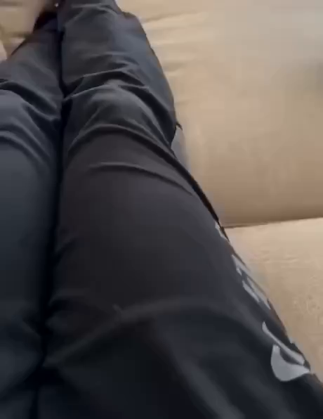 A mom cat brings her litter to her human so she can take a nap