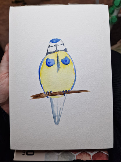 Painting of a blue tit, a small yellow and blue bird. It has a pair of blue boobs.