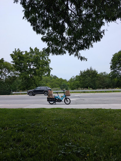 A far shot of a blue Tern long-tail cargo bike loaded with boxes, parked in a bike lane with the road and greenery in the background