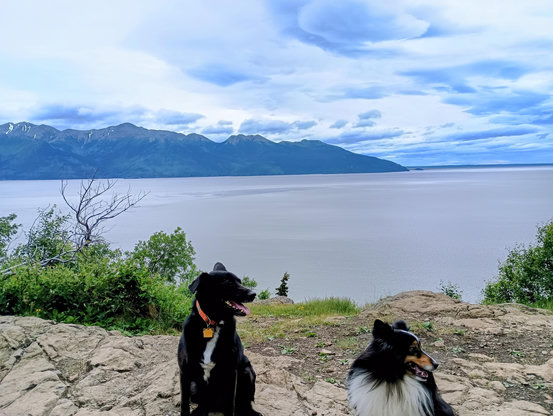 Two dogs sitting on a mountain ridge by an inlet with mountains on the back side, the s sky above is patchy blue and clouds