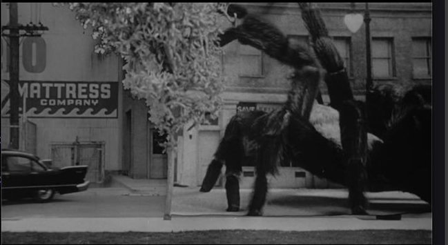 process/early compositing of a spider into a movie, making. it look huge. A car drives away in the other side of the screen