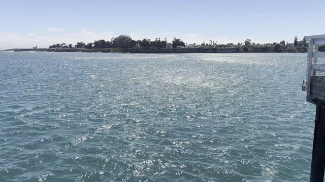 Sunlight sparkles on the water, which is a blue-green below clear blue skies. A line of trees is in the distance across the water, this is a little bight off Monterey Bay.