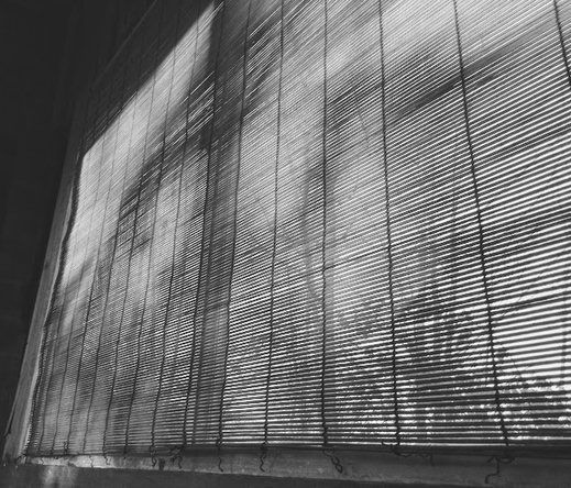 Morning light streams in through the bamboo shade on the eastern window, filtered though cottonwood branches.