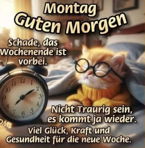 Ein KI-Bild zeigt ein rothaariges Kätzchen im Schlafanzug mit Brille. Es liegt im Bettchen und schaut auf den Wecker. Dazu steht:
Montag
Guten Morgen
Schade, das
Wochenende ist
vorbei.
Nicht Traurig sein,
es kommt ja wieder.
Viele Glück, Kraft und
Gesundheit für die neue Woche.