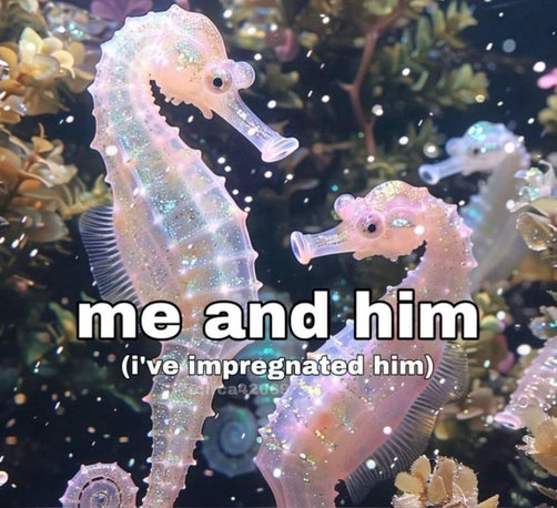 Two pastel, translucent seahorses face each other underwater, their bodies glittery and iridescent. Soft coral and aquatic plants surround them in the background. Over the image, playful white text reads: βme and him (iβve impregnated him),β referencing the fact that male seahorses carry the babies.