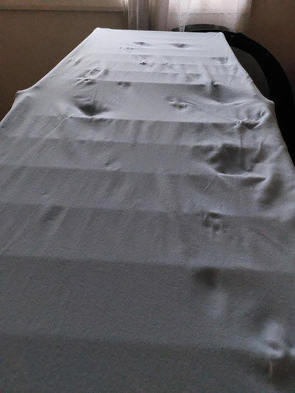 Light blue jersey knit fabric on an indoor washing line, with clear cat pawprints