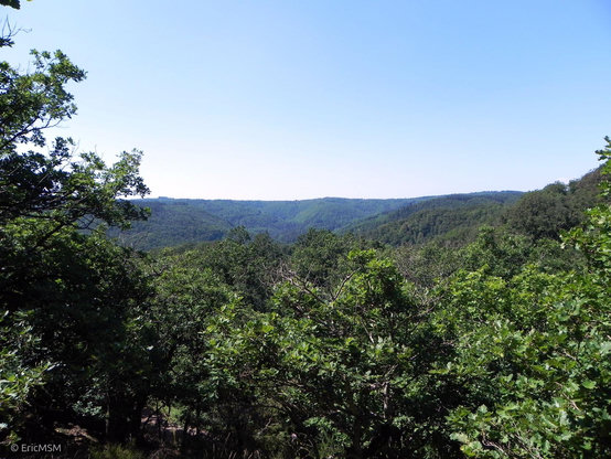 Un paysage vallonné où l'on ne voit que des arbres et du vert à perte de vue. Et un ciel bleu presqu'immaculé.
A hilly landscape where you only see trees and green as far as the eye can see. And an almost immaculate blue sky.
