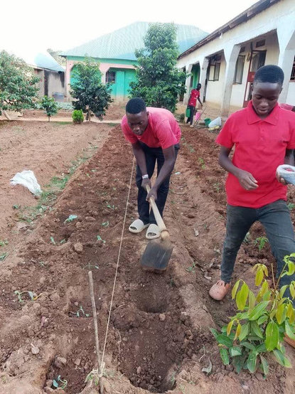 Even seeds can save us