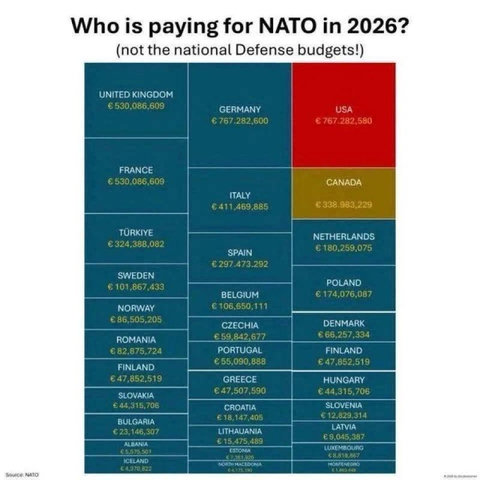 En tabel over beløb som landene i NATO, hver især bruger på NATO, udover deres nationale forsvarsbudgetter. 
| Land | Beløb (€) |
|--------|------------:|
| USA | 767.282.580 |
| Tyskland | 767.282.600 |
| Storbritannien | 530.086.609 |
| Frankrig | 530.086.609 |
| Italien | 411.469.885 |
| Canada | 338.983.229 |
| Tyrkiet | 324.388.082 |
| Spanien | 297.473.292 |
| Nederlandene | 180.259.075 |
| Polen | 174.076.087 |
| Belgien | 106.650.111 |
| Sverige | 101.867.433 |
| Norge | 86.505.205 |
| Rumænien | 82.875.724 |
| Danmark | 66.257.334 |
| Tjekkiet | 59.842.677 |
| Portugal | 55.090.888 |
| Finland | 47.852.519 |
| Grækenland | 47.507.590 |
| Ungarn | 44.315.706 |
| Slovakiet | 44.315.706 |
| Bulgarien | 23.146.307 |
| Kroatien | 18.147.405 |
| Litauen | 15.475.489 |
| Slovenien | 12.829.314 |
| Letland | 9.045.387 |
| Albanien | 8.555.501 |
| Luxembourg | 8.518.887 |