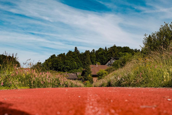 Drei Farben: Blau, Grün, Rot
Foto aus der Froschperspektive: Der Boden ist eine rote Laufbahn, in der Mitte wachsen Grünzeug und Bäume und oben blau-weisser Himmel.