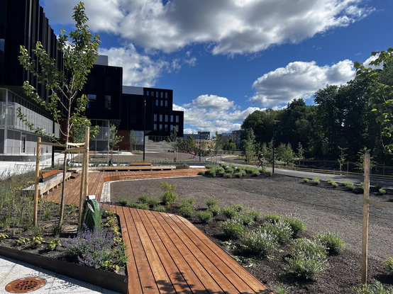 Fronten til Livsvitenskapsbygget med uteområde